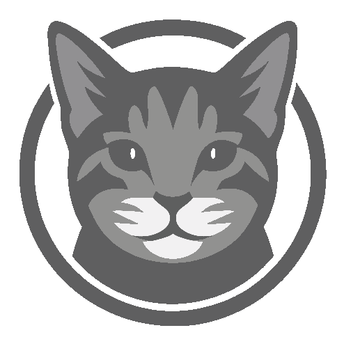 Ringus Software preview